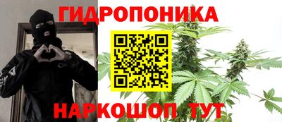 бошки Новодвинск