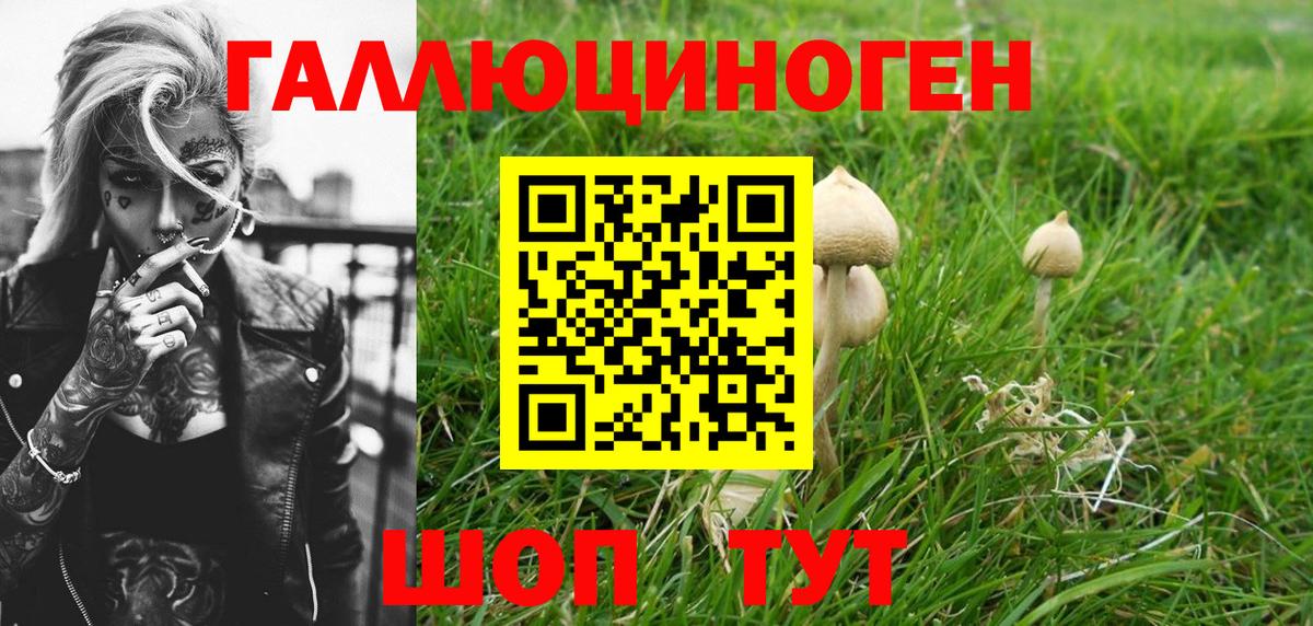 Спасск-Дальний  Псилоцибиновые грибы GOLDEN TEACHER  Вход с VPN  Псилоцибиновые грибы Psilocybe 
