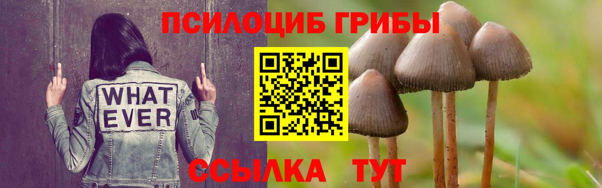 Псилоцибиновые грибы ЛСД Спасск-Дальний